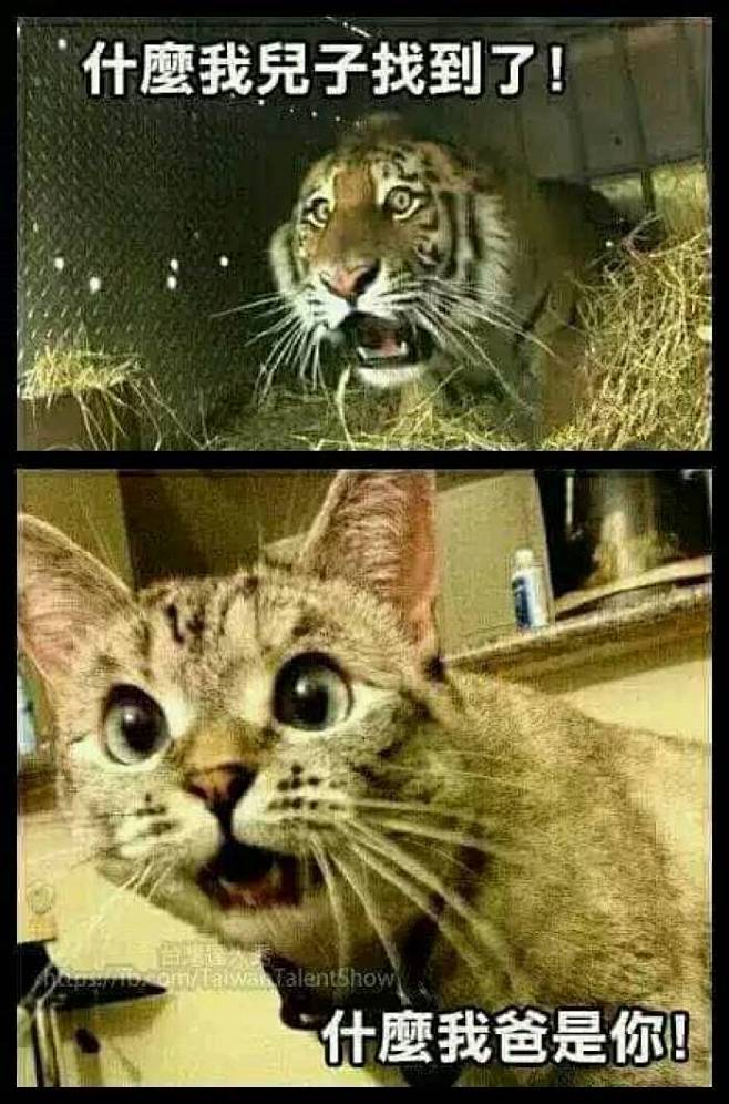 搞笑