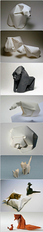 生于越南混在美国的设计师 Dinh Truong Giang 创作的这些折纸动物。。。