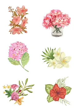 水彩花朵花卉手绘插画