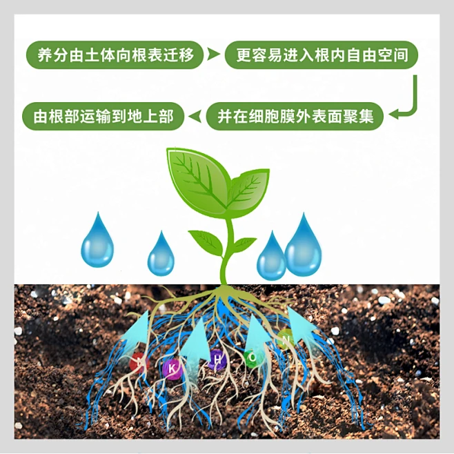 花土通用型营养土家用养花多肉土养花种花种菜种植土泥土有机椰砖-tmall.com天猫-花瓣网