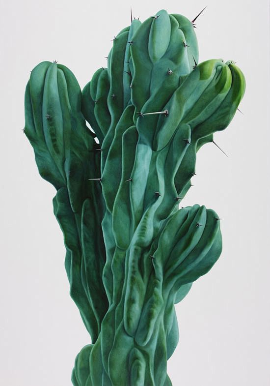 Cactus Paintings by ...