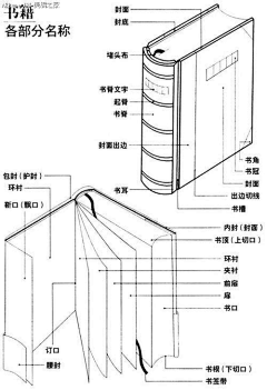 郑方军采集到平面设计