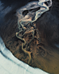 JÖKULÁ on Behance