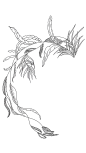 1手绘植物花卉插画黑白装饰线稿手抄报海报免扣元素