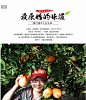 预售 血橙橙子新鲜水果红肉脐橙红心超赣南秭归中华红橙十斤包邮-淘宝网