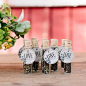 Wildflower Seed Favor Kit (12)