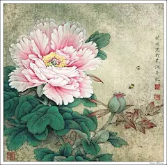 唯有牡丹真国色--牡丹主题工笔绘画作品（一）
