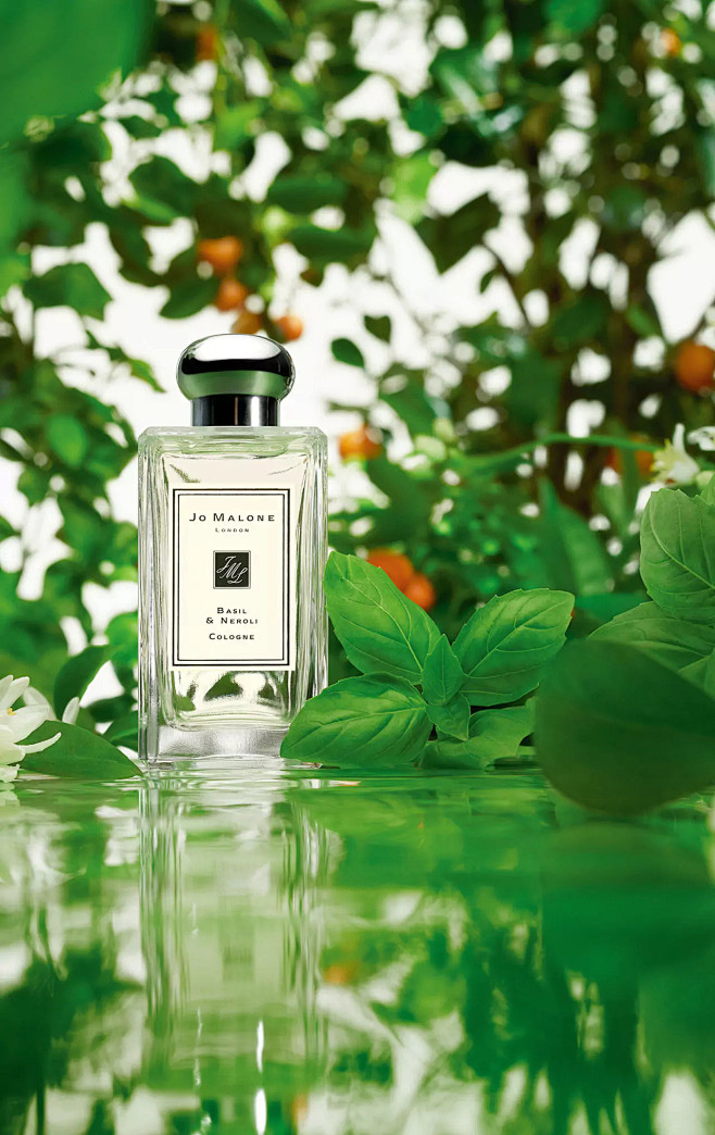 罗勒与橙花香水 | Jo Malone ...