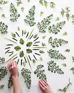 美女插画师把家变成了“植物园”，每天从鸟语花香中醒来！ : 　　每日小情书：不要等我流泪，你才明白我的悲伤。不要等我消失，你才知道我的存在。 Jenny Kiker是佛罗里达州的一位植物艺术家， 在她的工作室里放眼望去， 　　尽是绿色，简直就是一个小小的植物园。 　　 　　 　