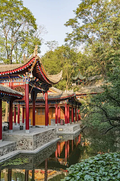 是龙龙呀！采集到杂七杂八