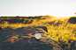 DANIEL CASSON | Sunrise with birline watches - www.birline.com : Sunrise with birline watches -
www.birline.com