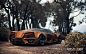 LADA Raven : Concept "LADA Raven"