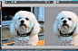 顶级抠图软件topaz remask-Topaz ReMask汉化版下载V5.0.1中文版