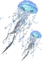 水母素材 大海素材 
