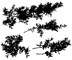 树叶剪影素材