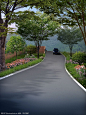 乡村环境整治道路景观