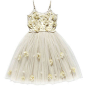 Giselle Tutu Daffodil Dress by Lili Miller