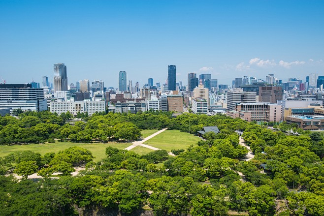 城市绿植