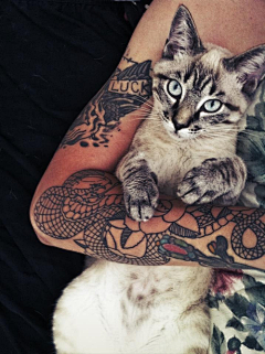 猫♛斯拉·²¼·采集到恋❤纹身