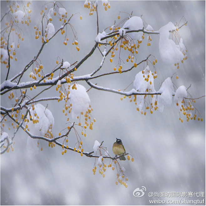 2012年第30届马来西亚国际摄影展彩色...