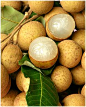 Longan (Southeast Asia)龙眼