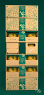 「 青柚原创 」包豪斯简约工艺风 水果柚子品牌包装设计