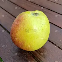 马提尼，苹果，苹果，驯鹿