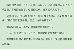 成化十四年
夢溪石