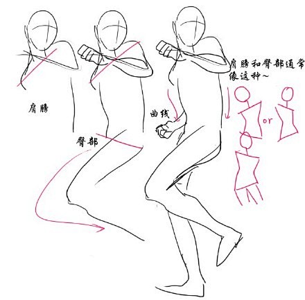 #绘画参考# #汉化#关于画身体和姿势的...