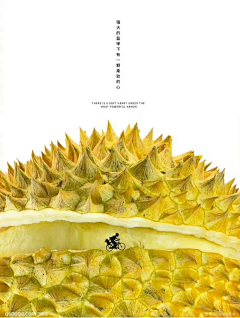 用户NFNVNwyx采集到水果