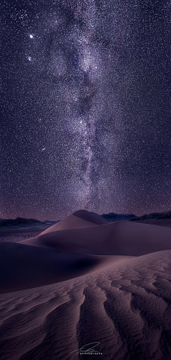 Savage茱采集到THE STARS