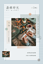 241108-森屿时光-森林中-微信公众号