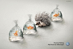 西子夜凉采集到INITIATIVE AD