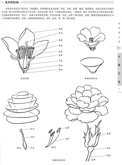 腊-小九天采集到画谱