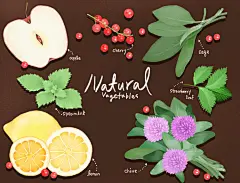 【精选】手绘彩色水果蔬菜辣椒豆香菜葱姜蒜萝卜插画PSD设计素材-淘宝网