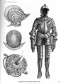 欧洲古代兵器和盔甲11