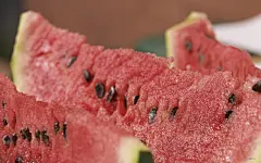 夏天的西瓜特写桌面高清壁纸桌面壁纸3