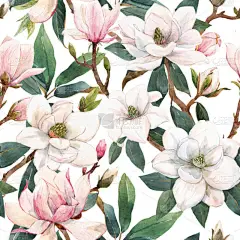 美丽的无缝图案，手绘水彩画，柔和的白色和粉色木兰花。库存说明.