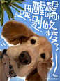3bf12982c668775ee4ae4d1e74df7e2
