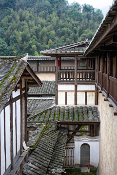 画白--采集到古风场景