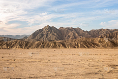 夹心猫咪酒采集到场景图