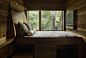 Nature and wooden interior Interconnected Spaces: Contemporary Renovation of Residence 1414 in Austin, Texas