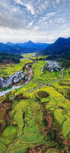 原图壁纸：山村油菜花开，原生态的风景-今日头条