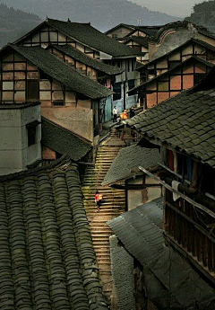 楛月采集到旅行