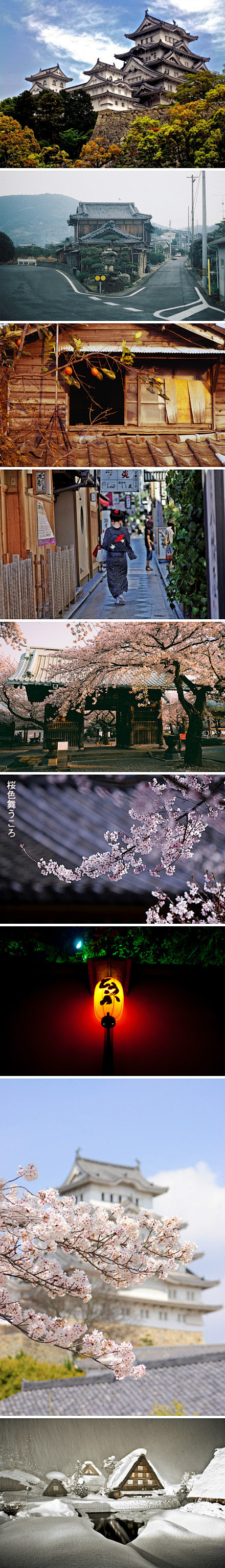 静静的春 ，日本?