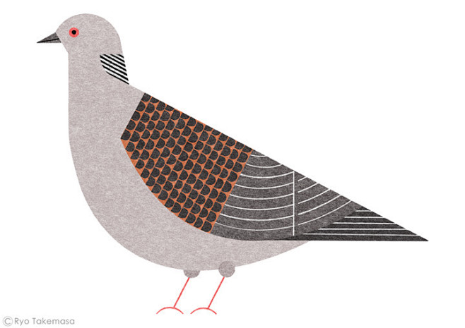 Bird handbook : Illu...