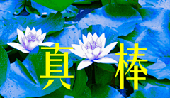 超高清古风电脑壁纸_百度图片搜索