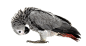 019