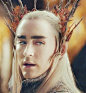 #瑟兰迪尔# #Lee Pace# 在霍3上映之前我准备就靠这几张继续撸下去了！跪舔我大佩佩走起！！！五军之后大王就要回去开拖拉机了[doge]@吧唧买买买协会会长