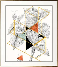 厦门松果插画